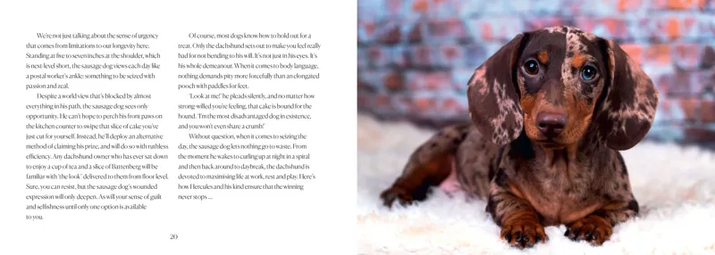 Bookspeed - Be More Sausage -3