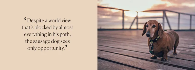 Bookspeed - Be More Sausage -2