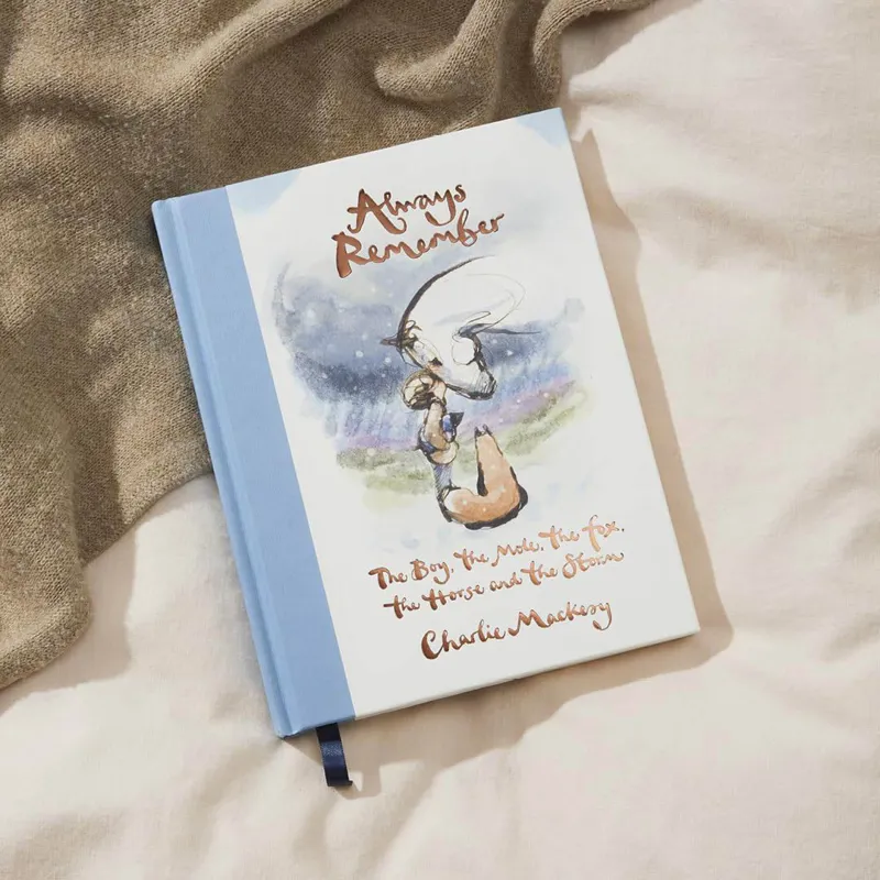 Always Remember: The Boy The Mole The Fox The Horse and The Storm-1