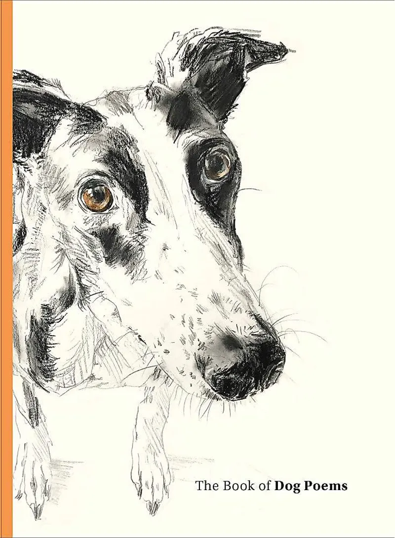 Bookspeed: Book of Dog Poems