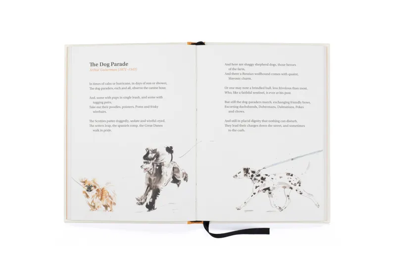 Bookspeed: Book of Dog Poems-1