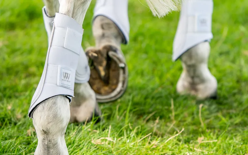 Woof Wear Double Lock Brushing Boot White-1