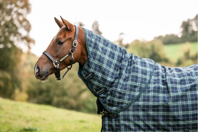 Horsewear Rhino Plus Turnout 250g VL - Hunter Check Green Navy-1