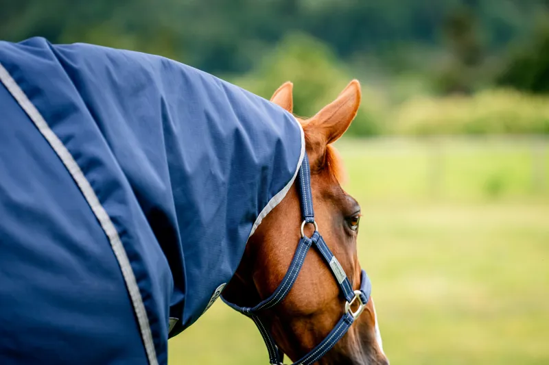 Amigo Ripstop 900D Plus Lightweight 0g Turnout Rug - Navy/Titanium Grey-3