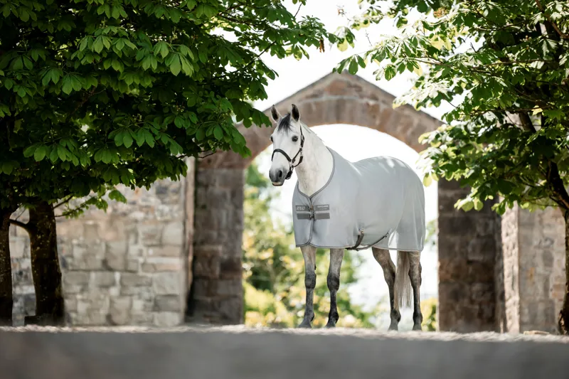 Amigo Airnet Cooler Rug - Heather Blue/Titanium Grey and Silver-1