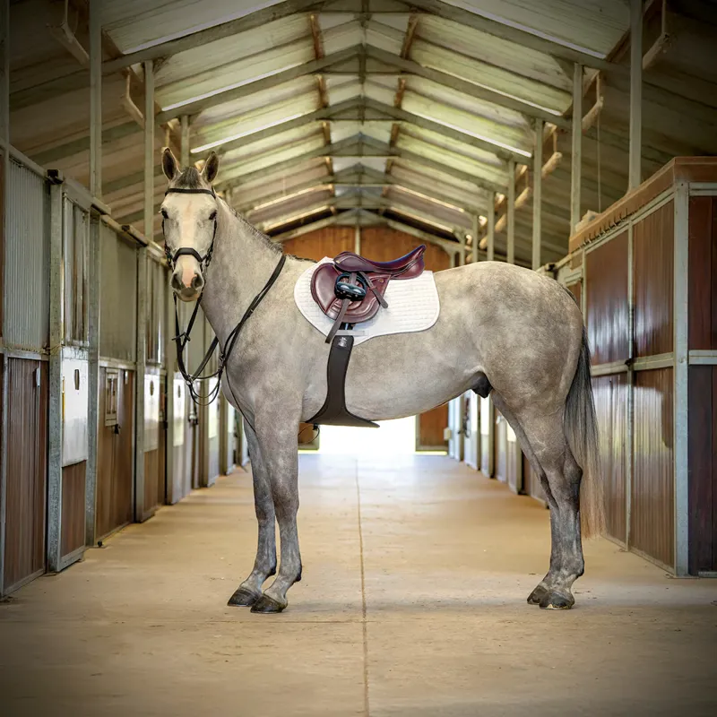 Fairfax Zodiac Aries Jump Saddle -Chestnut-1