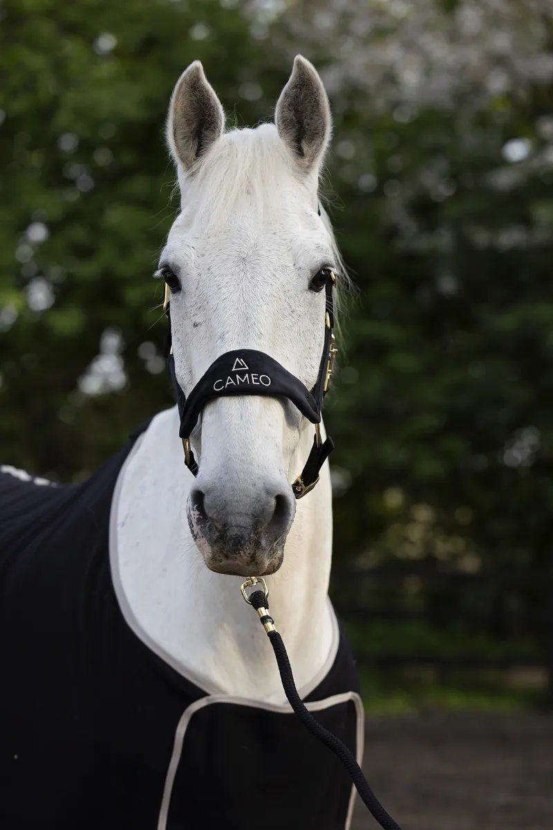 Cameo Suede Elite Headcollar and Leadrope - Black Gold-1