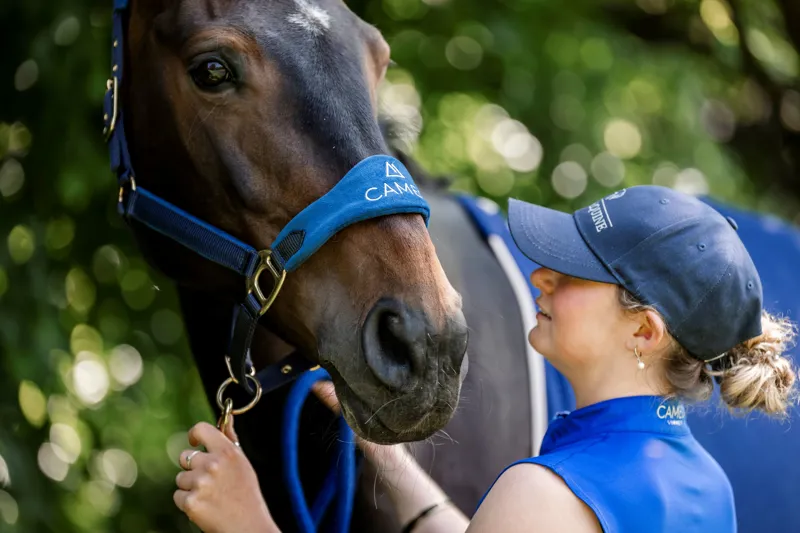 Cameo Suede Elite Headcollar and Leadrope - Navy-2