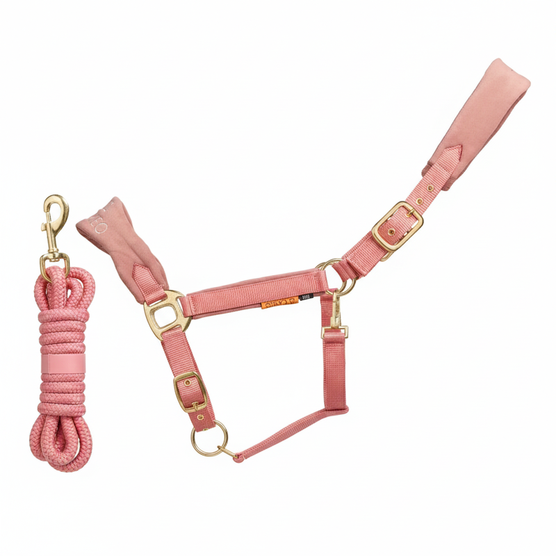 Cameo Suede Elite Headcollar and Leadrope - Dusky Pink