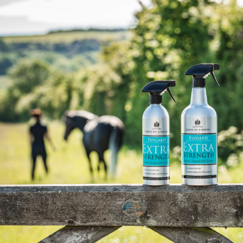 Carr Day Martin Flyguard Extra Strength Insect Repellent -1