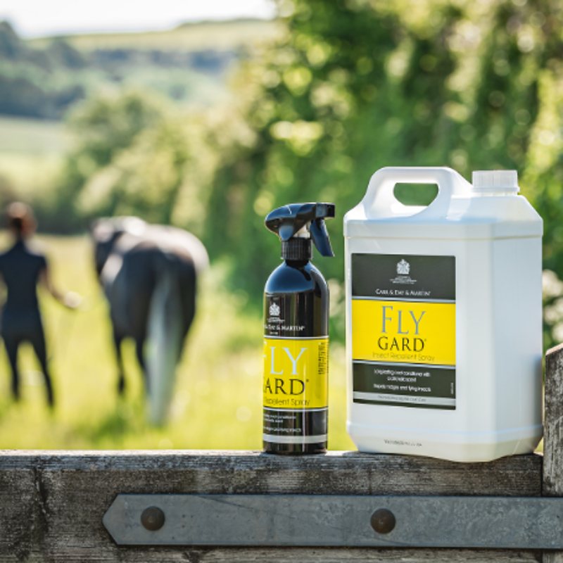 Carr and Day and Martin Flyguard-1