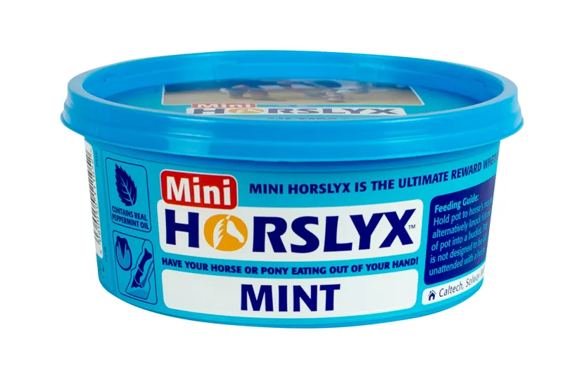 Horslyx Mint Mini Licks - 650g