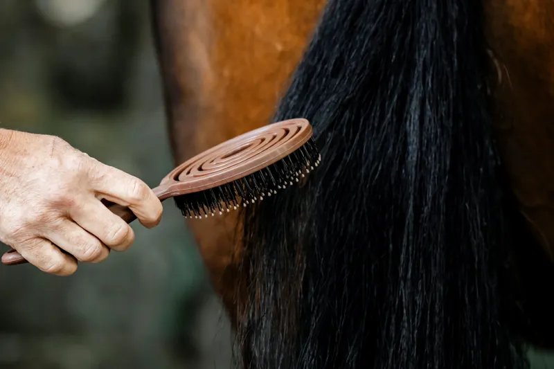 Horseware Mane and Tail Brush-1