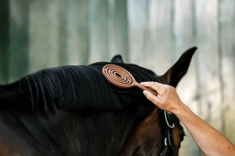 Horseware Mane and Tail Brush-5