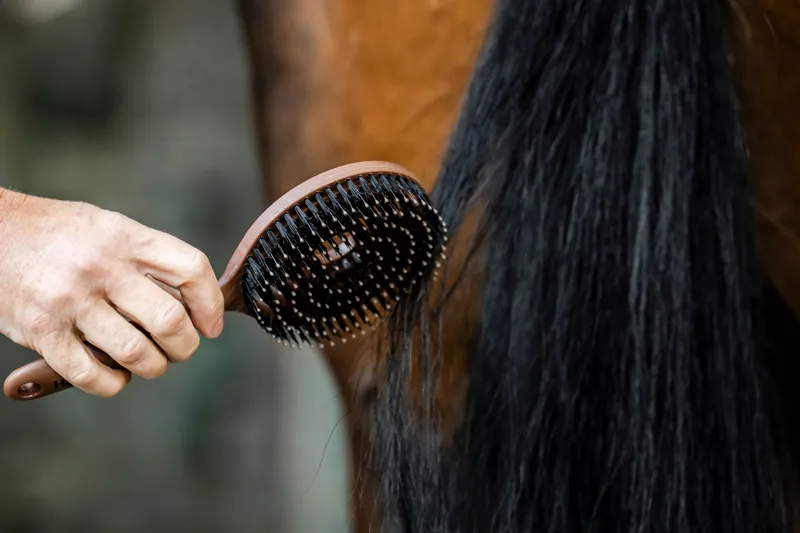 Horseware Mane and Tail Brush-4