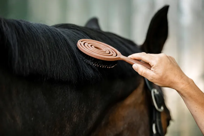 Horseware Mane and Tail Brush-3