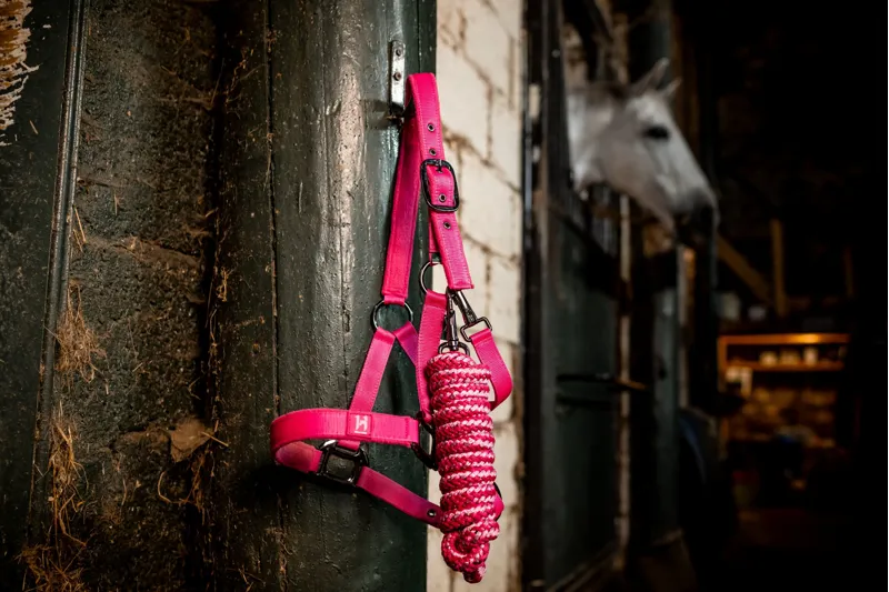 Horseware Newmarket Headcollar and Leadrope - Witney Pink-2