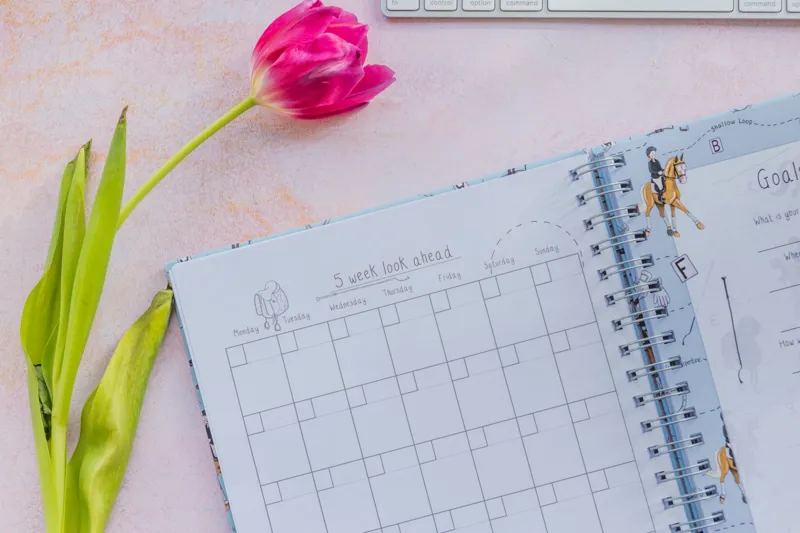 Appointment Planner Book - A4 -5