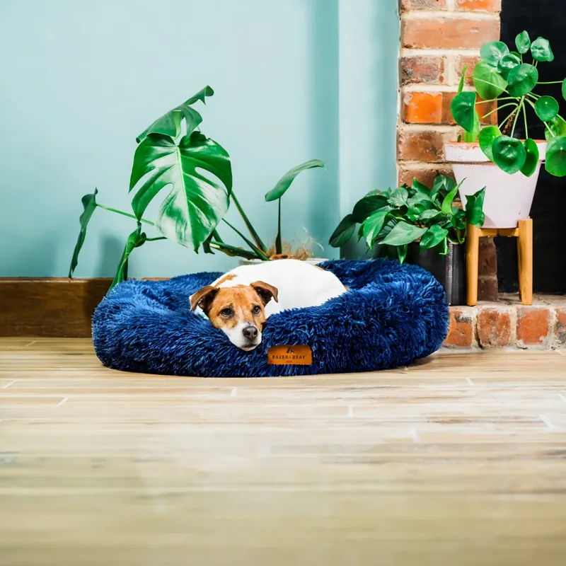 Baker Bray Calming Donut - Navy-3