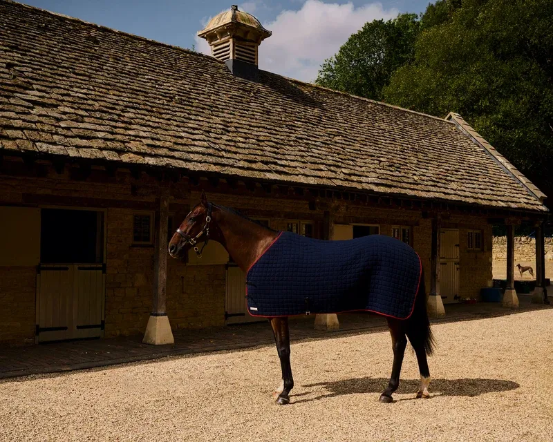 Thermatex Original Cooler Rug - Navy-3