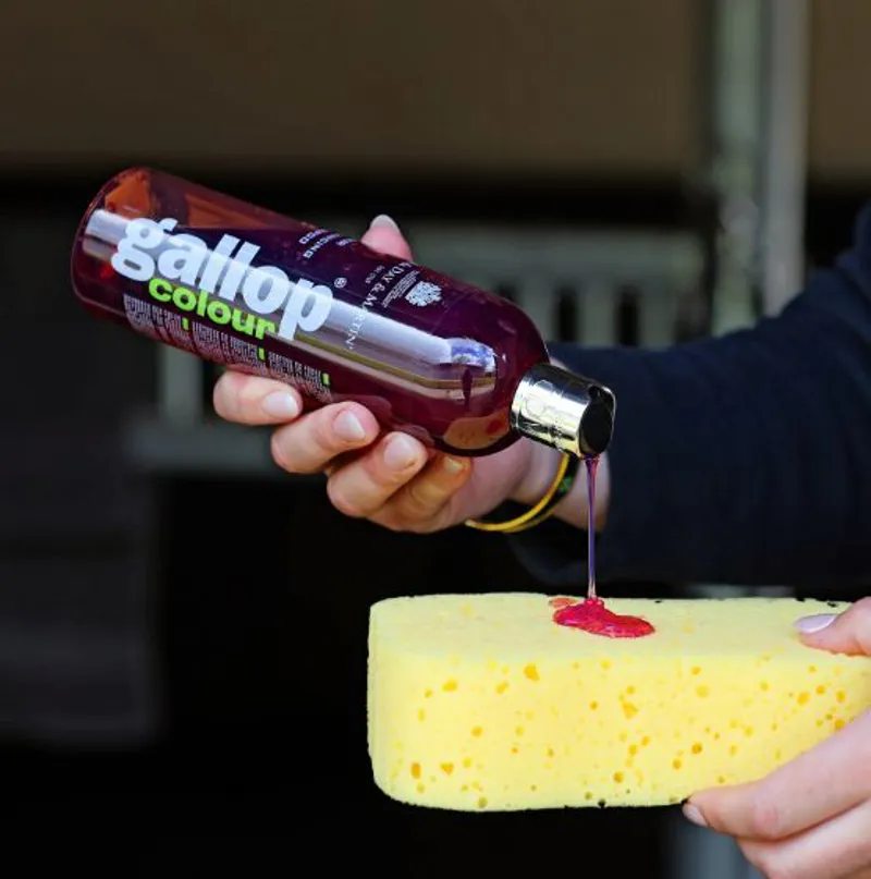 Carr and Day and Martin 500 ml Gallop Shampoo - Bay-1