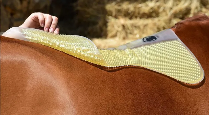 VIP Saddle Pad Gold 