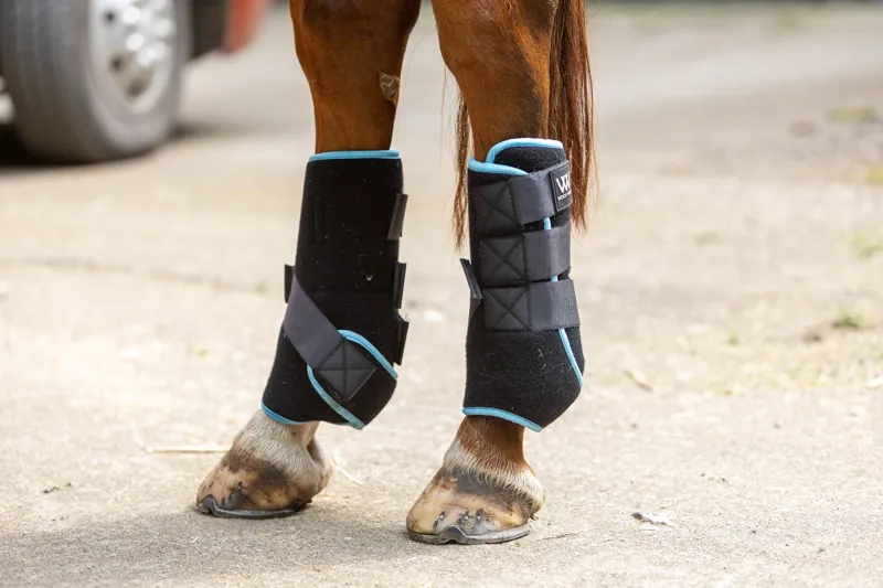 Woof Wear Polar Ice Boot Black Turquoise One Size-2