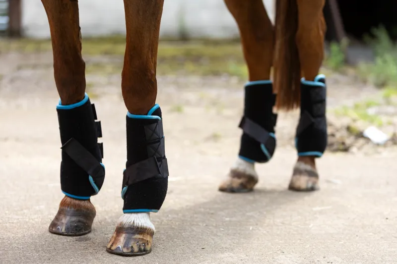 Woof Wear Polar Ice Boot Black Turquoise One Size-3