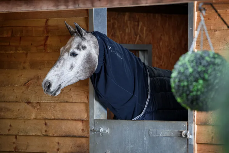 LeMieux Arika Fleece Hood - Navy Large