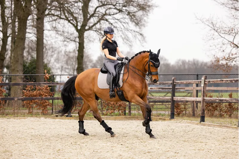 Dressage Suede Square Grey Large-1