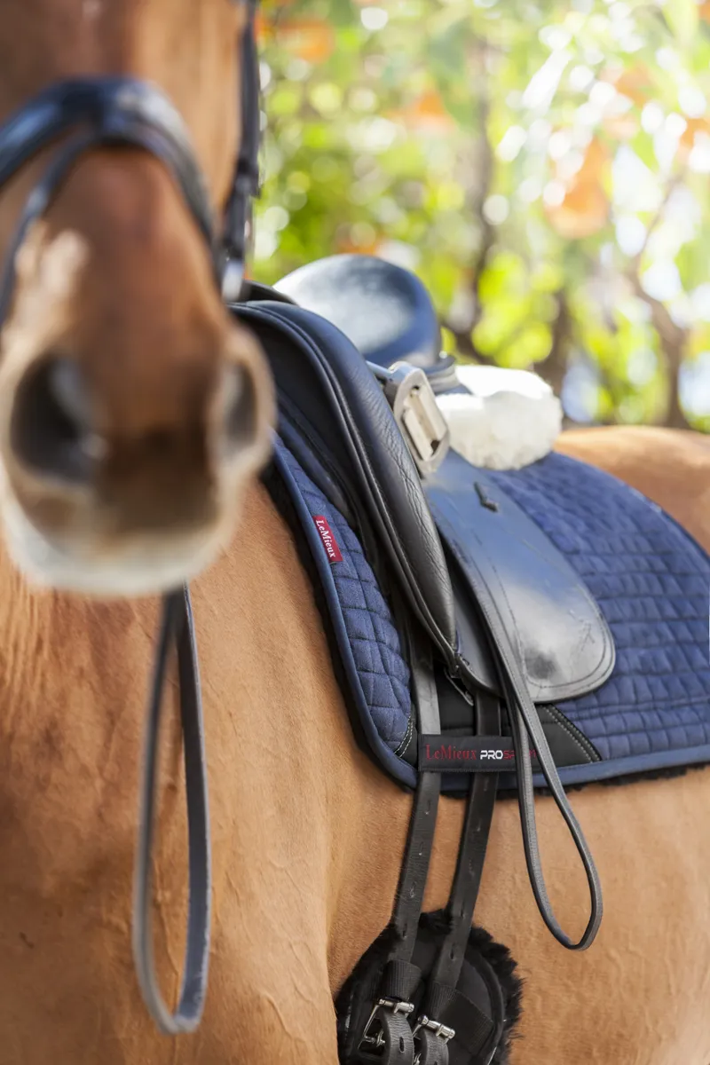 LeMieux Sensitive Dressage Square - Navy Large-1