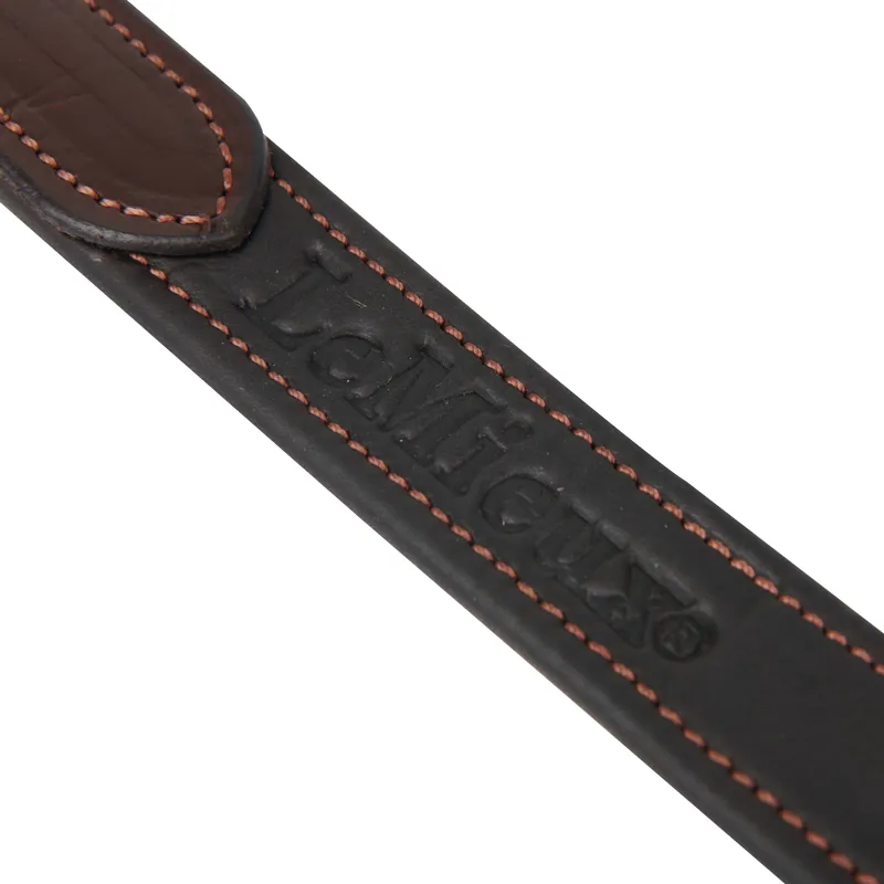 LeMieux Vector Stirrup Leathers - Brown-2