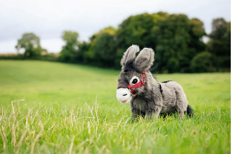 LeMieux Toy Donkey - Daphne-3