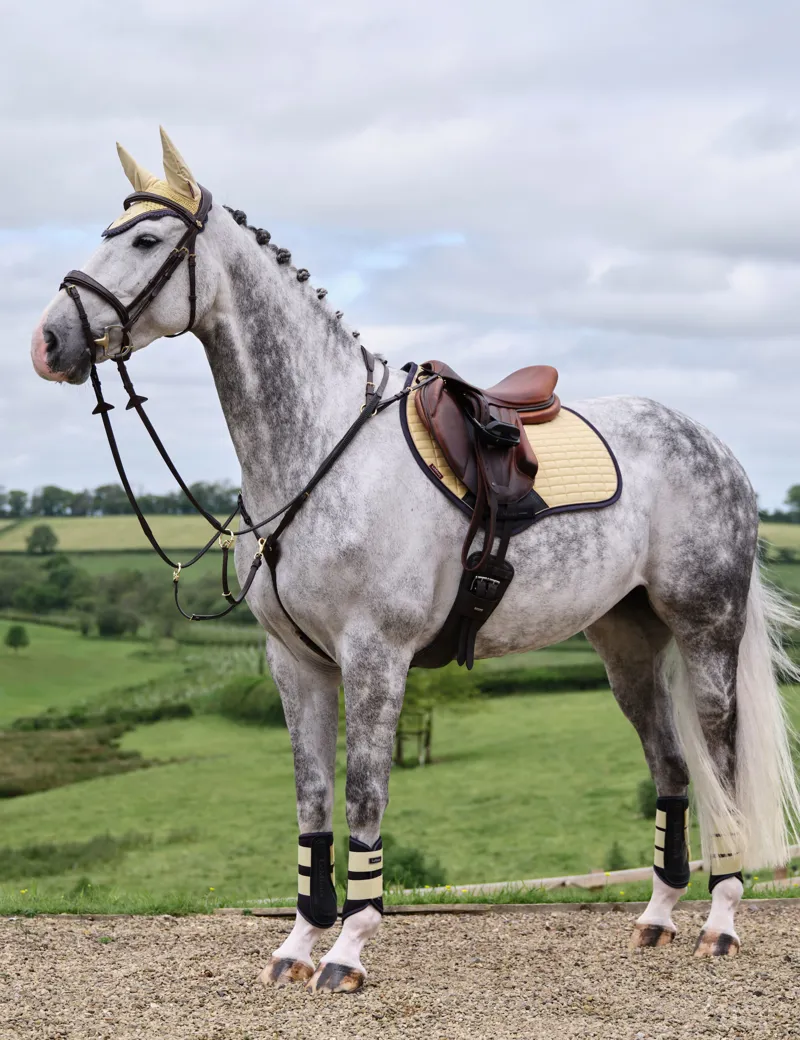 LeMieux Suede Close Contact Square - Mimosa-3