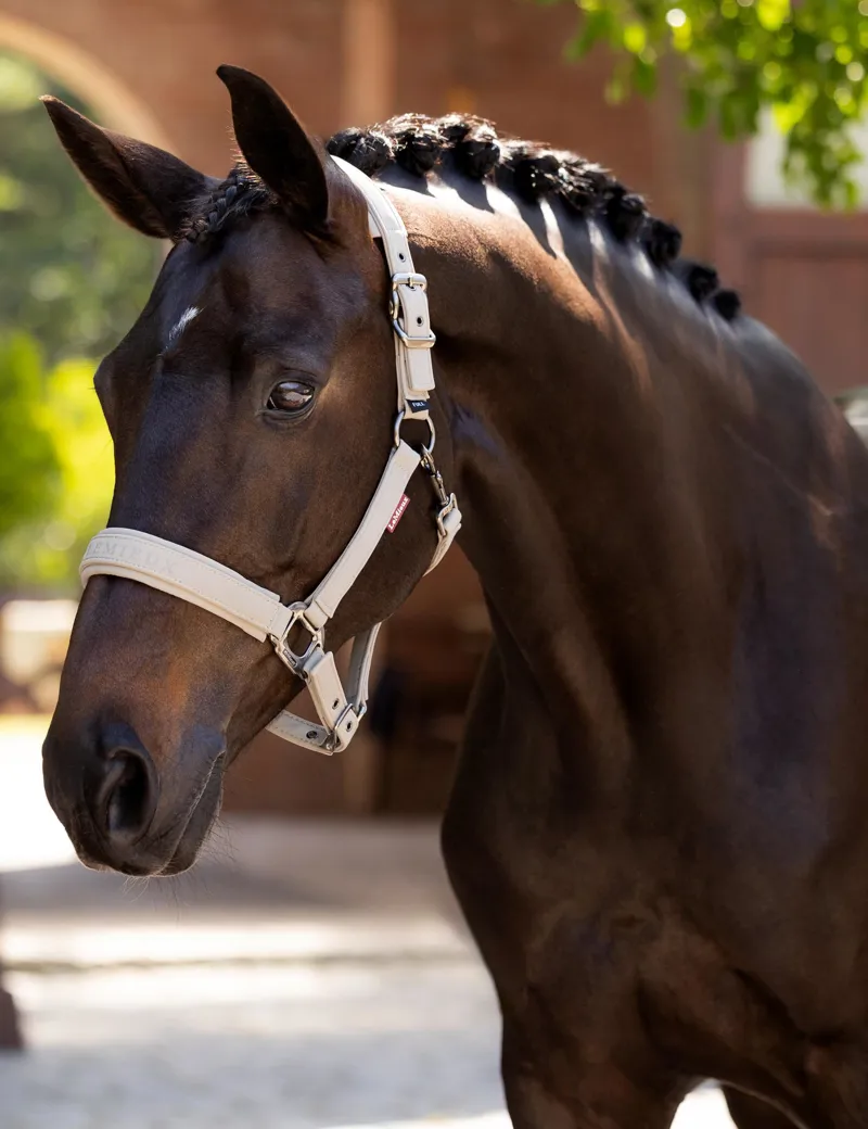 LeMieux Essence Headcollar - Stone-1