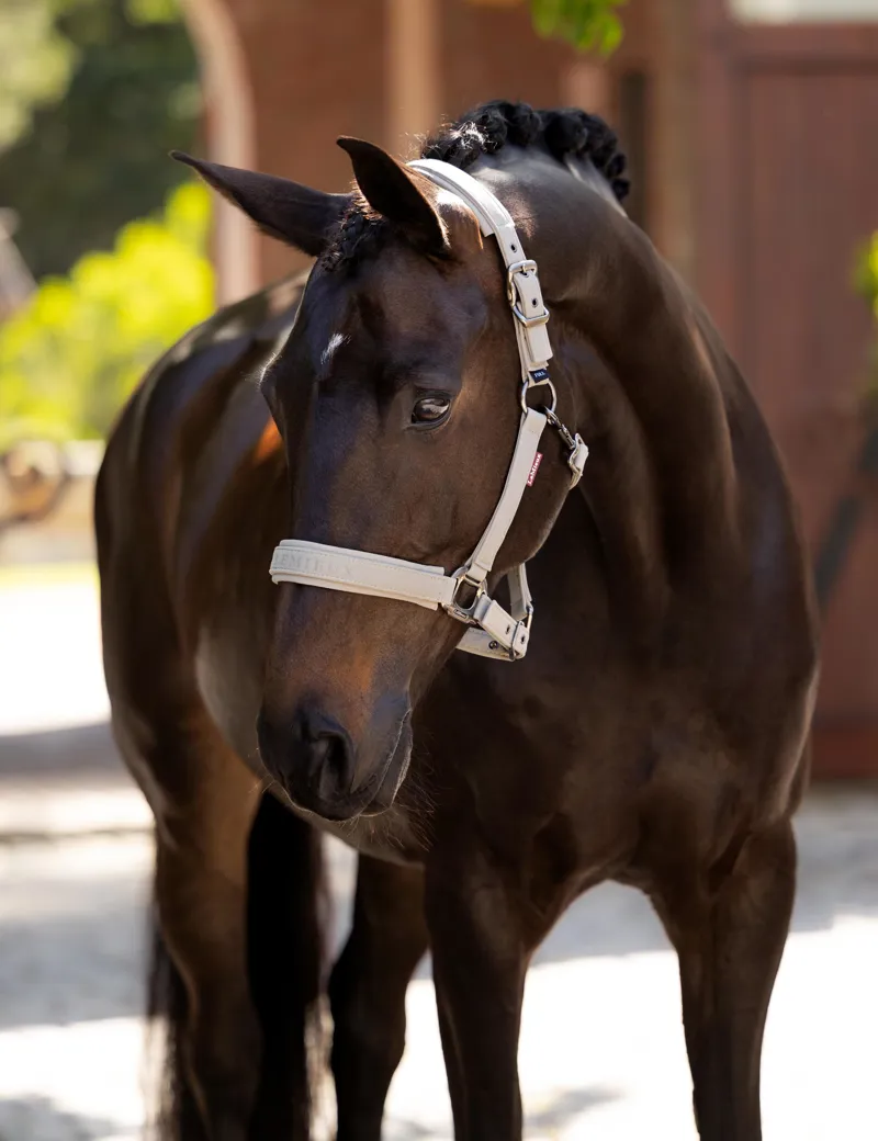 LeMieux Essence Headcollar - Stone-3