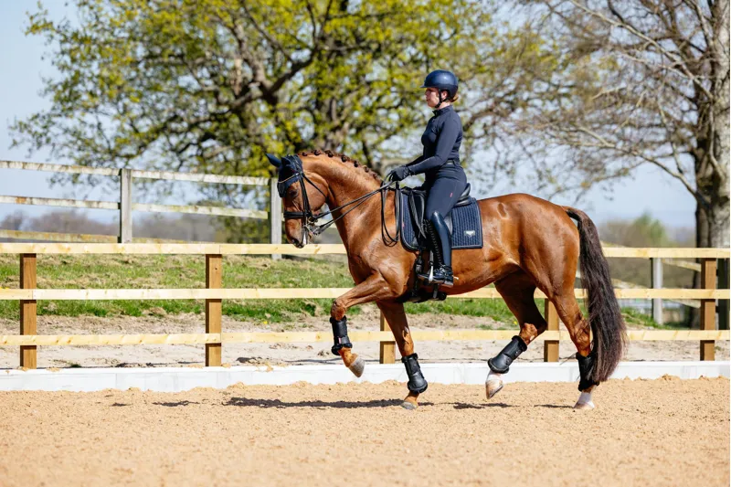 LeMieux Puissance Suede Dressage Pad - Navy-2