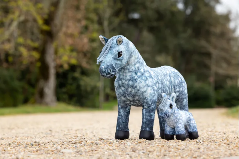 LeMieux Tiny Pony - Sam-3