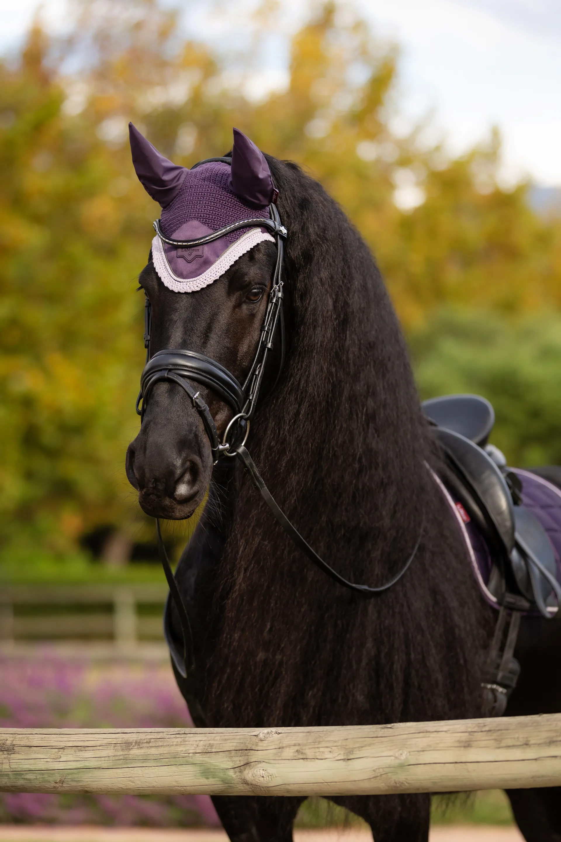 Tapis de CSO LeMieux Loire Memory Close Contact