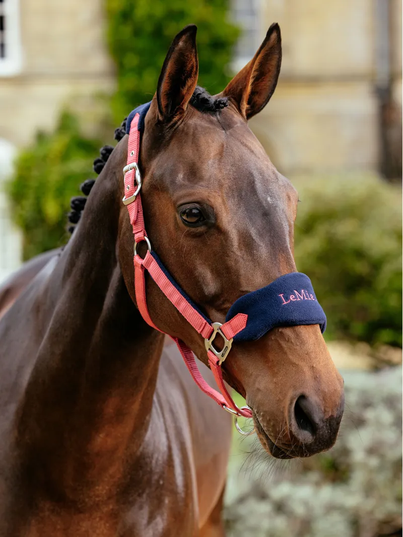 LeMieux Vogue Headcollar and Leadrope - Cranberry-2