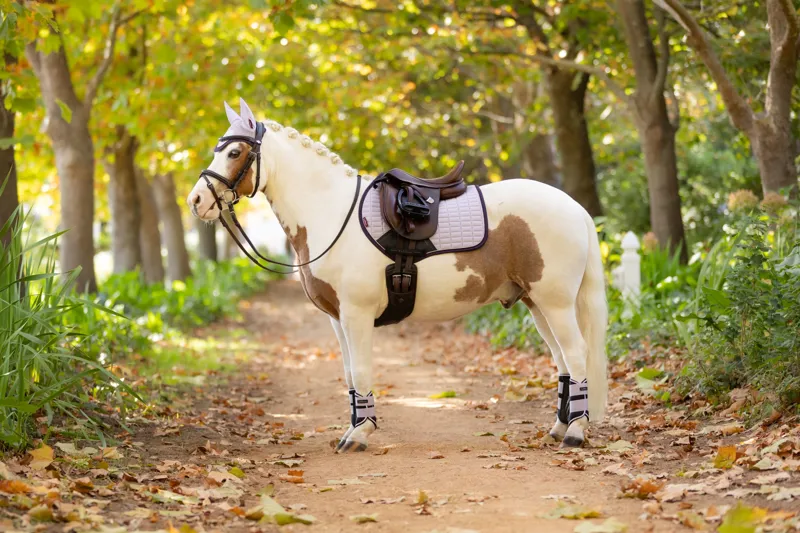 LeMieux Mini Suede Close Contact Square - Lilac-1