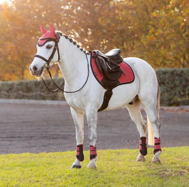 LeMieux Mini Suede Close Contact Square - Cranberry-3