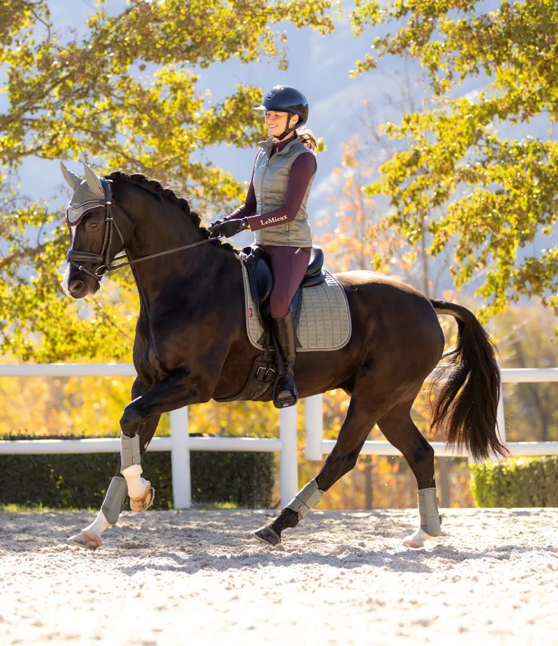 LeMieux Suede Dressage Square Rosemary - Large-4