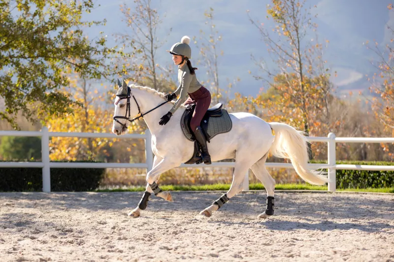 LeMieux Suede GP Square - Rosemary-3