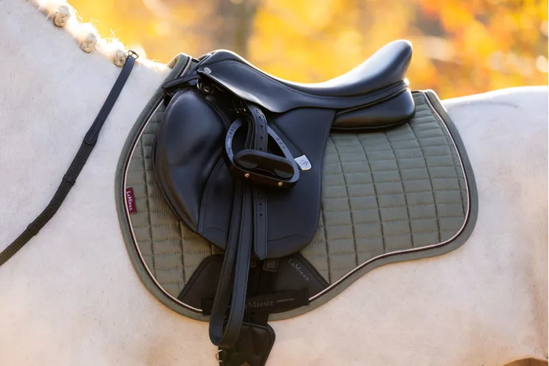 LeMieux Suede GP Square - Rosemary-1