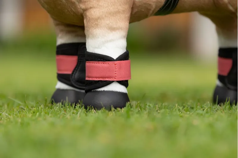 LeMieux Toy Pony Grafter Boots - Cranberry-1