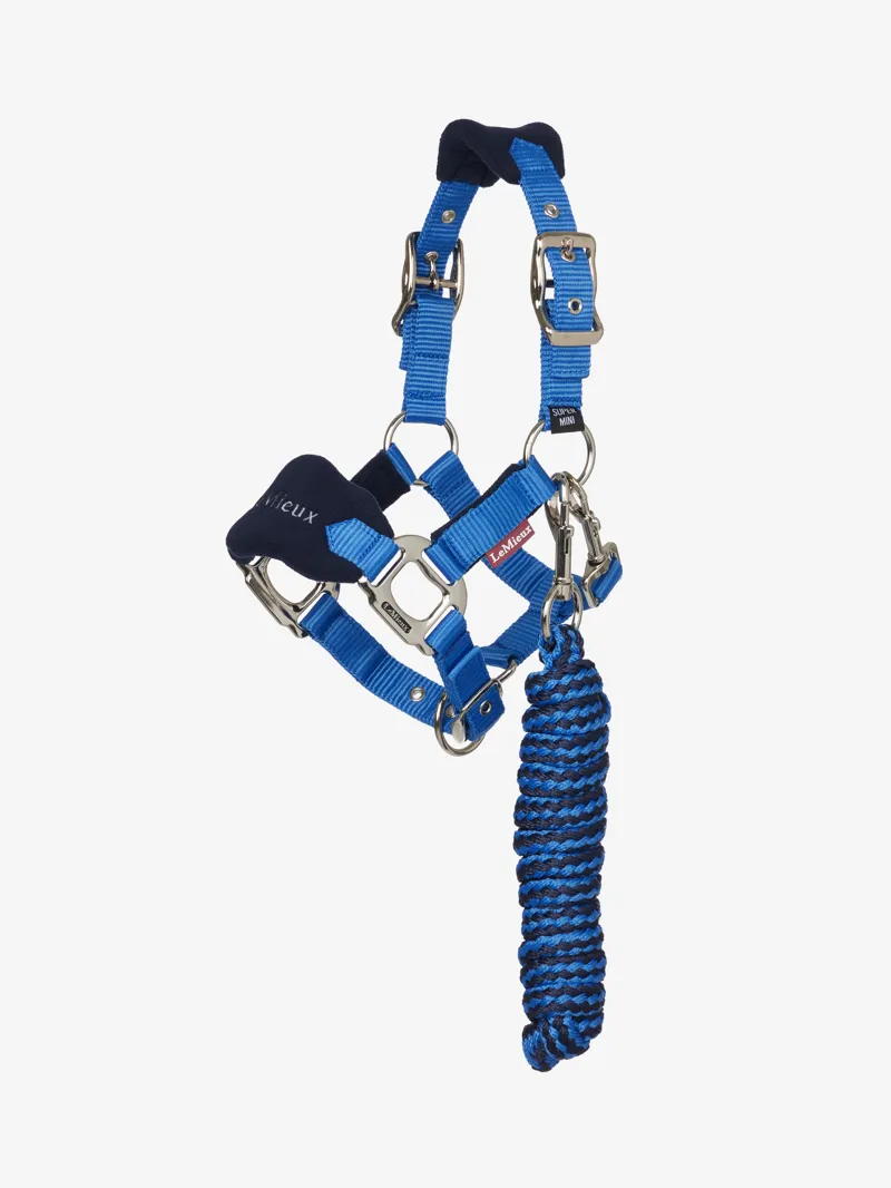 Lemieux Mini Vouge Headcollar and Leadrope - Benetton Blue-1
