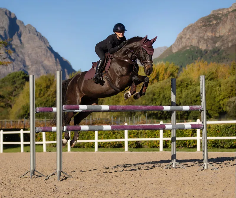 LeMieux Esssence Eurojump Square - Damson-3