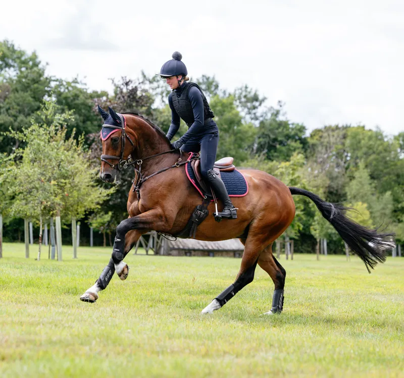 LeMieux Suede Close Contact Square - Navy/Cranberry-4
