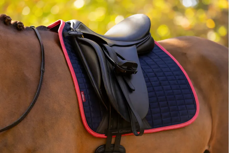 LeMieux Suede Dressage Square - Navy/Cranberry-2